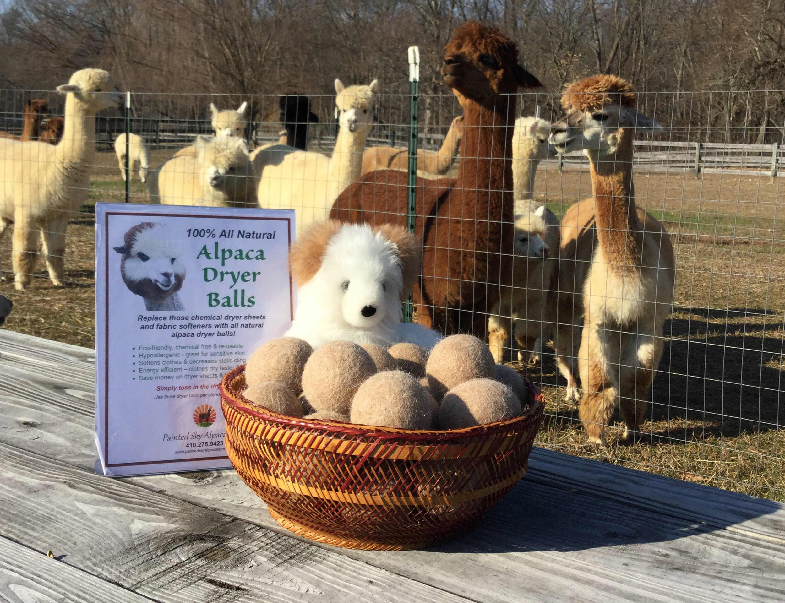 Alpaca Dryer Balls  Faithful Seeds Farm
